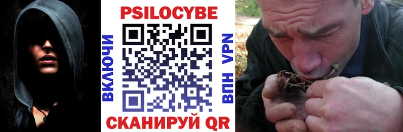 Галлюциногенные грибы Magic Shrooms  купить закладку  Алушта 